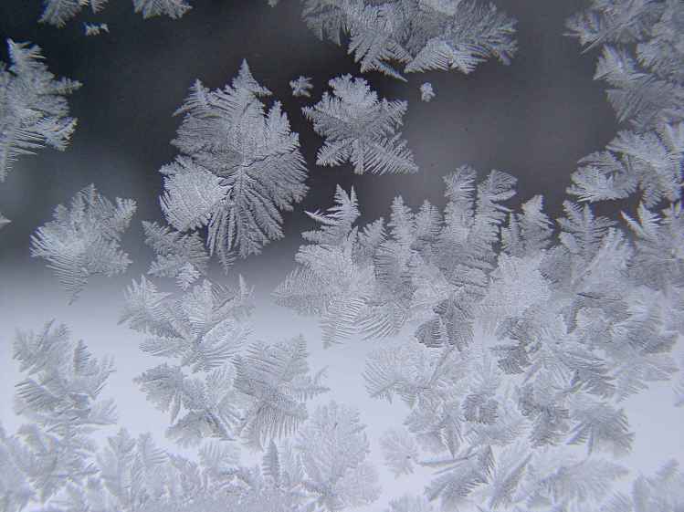 Window Ice Feathers