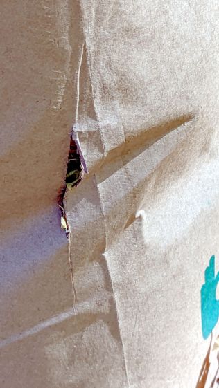 Dano Leaf Bag - side gash detail
